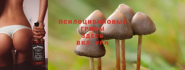 mix Ессентукская