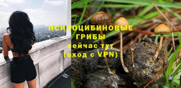 дживик Новосибирск