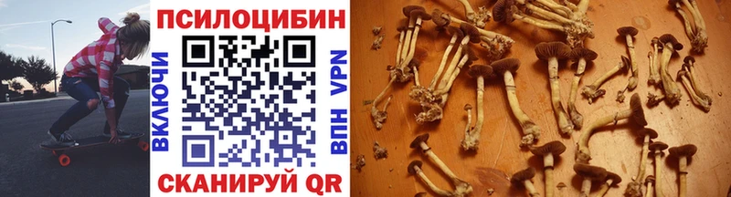 Псилоцибиновые грибы Psilocybine cubensis  Кореновск 