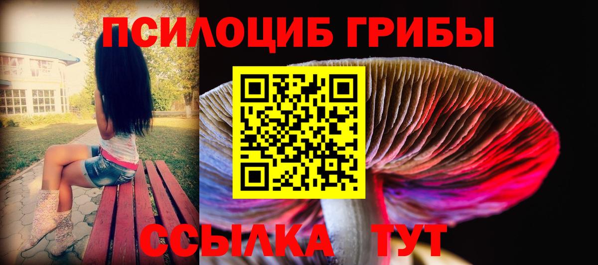 Галлюциногенные грибы Psilocybe  Псилоцибиновые грибы Magic Shrooms  Вход с VPN  купить наркотик  Кореновск 